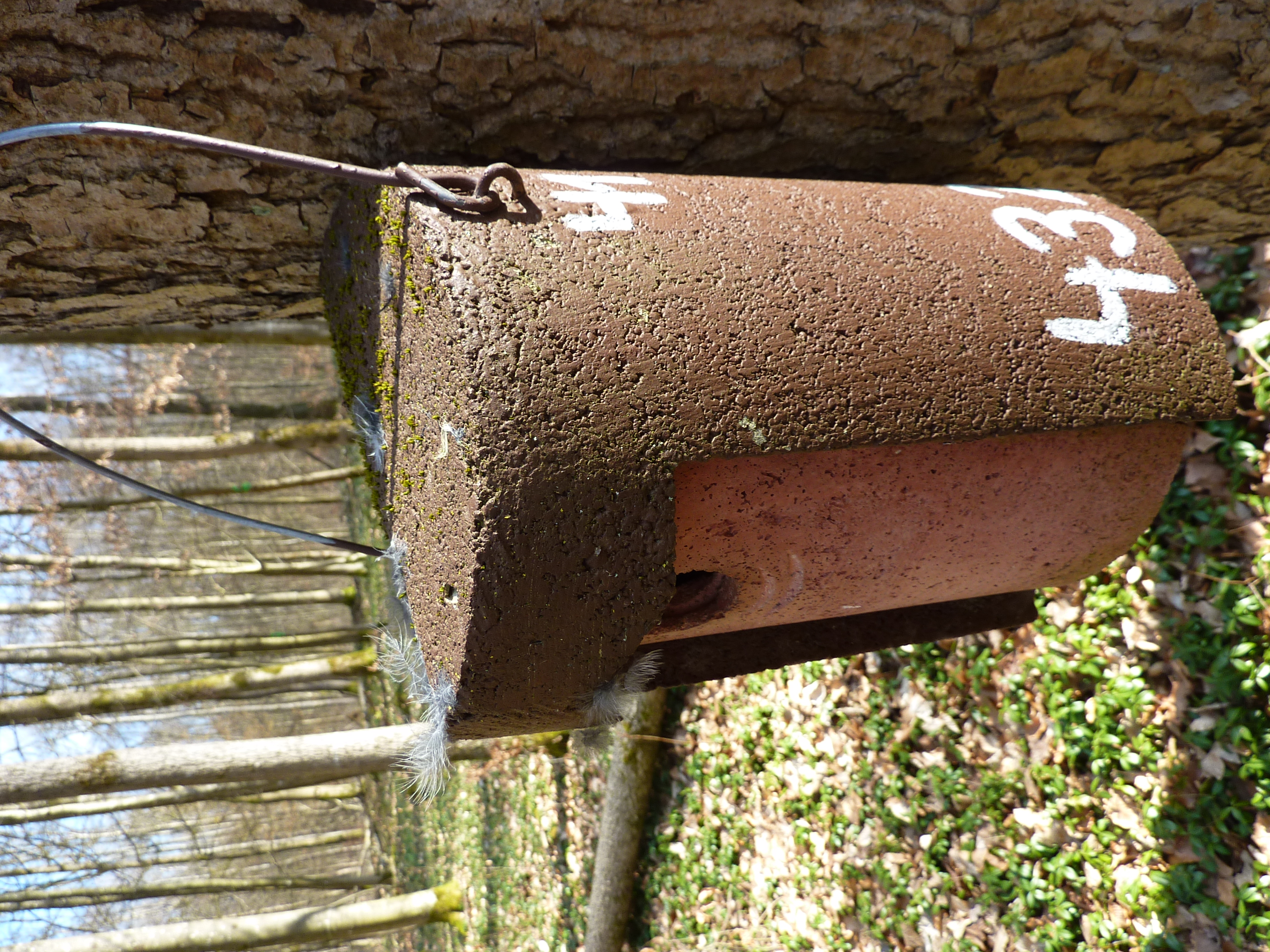 Nesting box